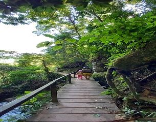 Camino a la Catarata Arco Iris, Mazamari, selva peruana, Satipo, Junin, Peru. Viajes Camino a la Catarata Arco Iris, Mazamari, selva peruana, Satipo, Junin, Peru. Viajes
