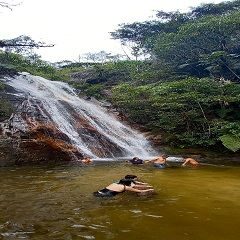Catarata, Jungla Dorada, lugar turistico, en Coviriali, Satipo, Junin, Peru.Viajes Catarata, Jungla Dorada, lugar turistico, en Coviriali, Satipo, Junin, Peru.Viajes
