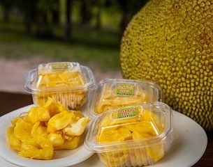 Pulpa de Jackfruit, en Rio Negro, Satipo, Junin, Peru